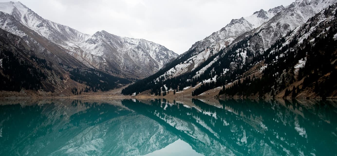 Experience the thrill